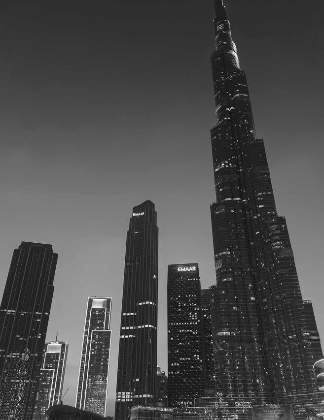 Rowanberries Contact